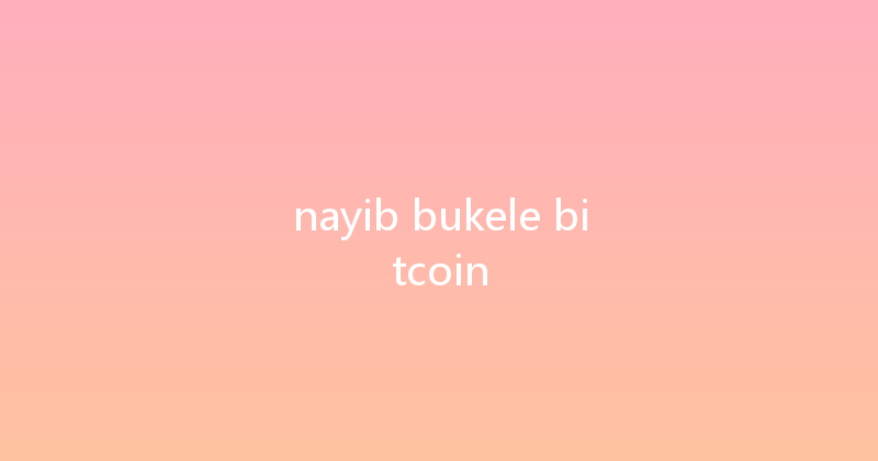 nayib bukele bitcoin 